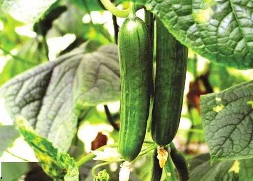 娱乐有态度吃瓜有深度,揭秘娱乐圈背后的故事